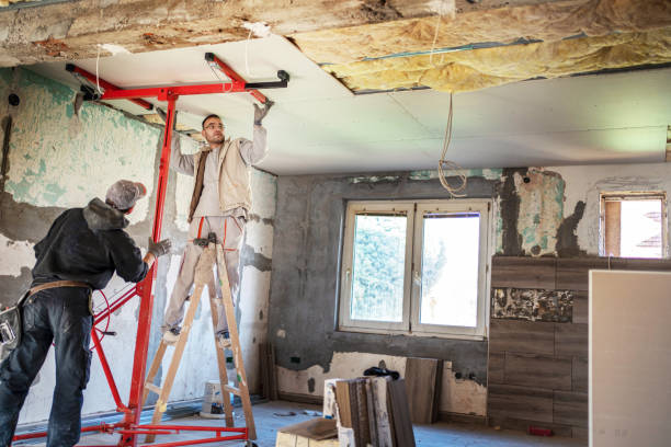 Best Attic Insulation Installation  in South Hill, VA