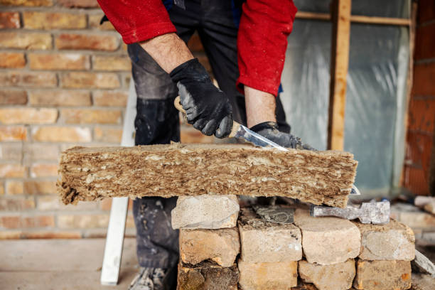 Best Spray Foam Insulation  in South Hill, VA