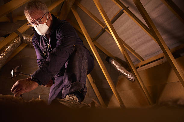 Best Attic Insulation Near Me  in South Hill, VA